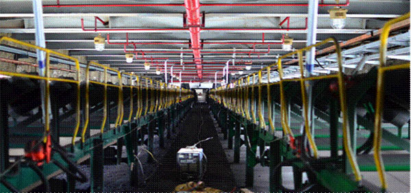 SPL/DZ型消防噴霧自動滅火系統(tǒng)裝置